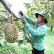 CÔNG TY TNHH NÔNG VẠN PHÚC