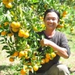 CÔNG TY TNHH NÔNG VẠN PHÚC