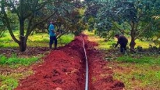 CÔNG TY TNHH NÔNG VẠN PHÚC