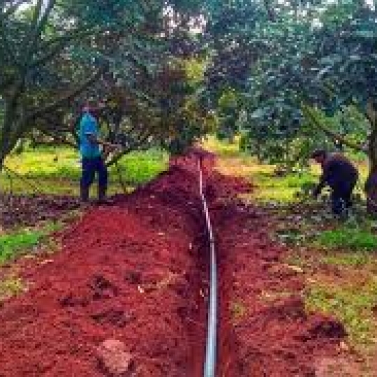 CÔNG TY TNHH NÔNG VẠN PHÚC